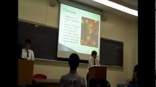 STDs Presentation (Part 1) Phi Delta Chi - Beta Alpha