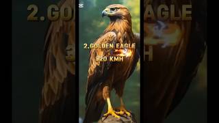Speed is survival—check out the top 10 fastest animals that dominate with their quick moves #shorts