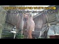 WHITE SANDO CHALLENGE/LIGO CHALLENGE/DAILY ROUTINE/WHITE JERSEY