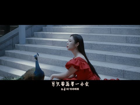 【中韩字幕】辉人 - 'water color 水彩' MV中字(CHINESE SUB)
