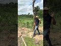 Construindo um barraco de luxo