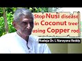 21 Stop Nusi disease in coconut tree using Copper rods |  ತೆಂಗಿನ ನುಸಿ ರೋಗಕ್ಕೆ ತಾಮ್ರದ ಮೊಳೆಗಳ ಪ್ರಯೋಗ.