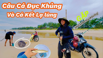 Câu Cá Bống Đục Nhỏ Kinh Khủng | Cái Kết Lạ Lùng Khi Gặp Idol Vlog Hải86vlog!​⁠@Longvlog86