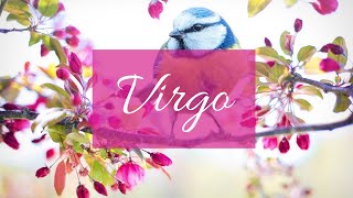 Virgo❤The one you are not talking to right now:Their thoughts, feelings, intentions & actions!