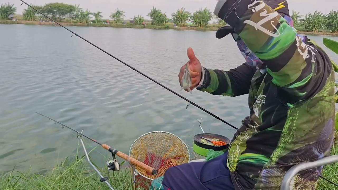 EP.95 ตกปลานิลบ่อเหมาค่าคัน 700 บาท ปลากินหางมากเกือบไม่รอด