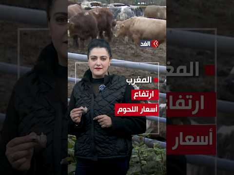 كيف واجهت الحكومة المغربية ارتفاع أسعار اللحوم الحمراء التفاصيل مع مراسلة الغد