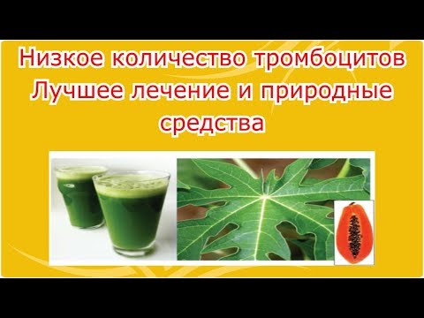 Видео: Как повысить уровень тромбоцитов в крови: могут ли помочь природные средства?