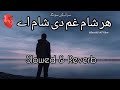 har sham gam de sham saraiki song slowed reverb  best saraiki songs slowed and reverb