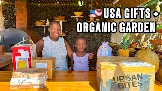 Opening USA Gifts 🇺🇸🎁 + Buying Vegetable \u0026 Herb Seedlings 🌱 | Fish Recipe \u0026 Dream Home Progress 🏡
