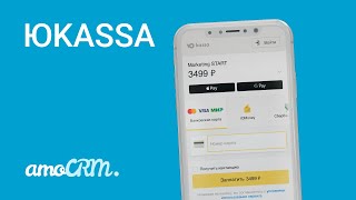 :  Kassa  amoCRM |   
