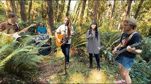 Forest Mountain Lion - Songlines (Official Music Video)