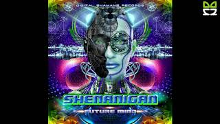 Shenanigan Vs Microsphere - Knock My Mind (151 Bpm)