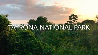 GUIDE TO HIKING IN TAYRONA NATIONAL PARK, COLOMBIA