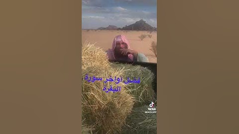 دحيم الحماد ١٤٤٤ه فضل أواخر سورة البقرة