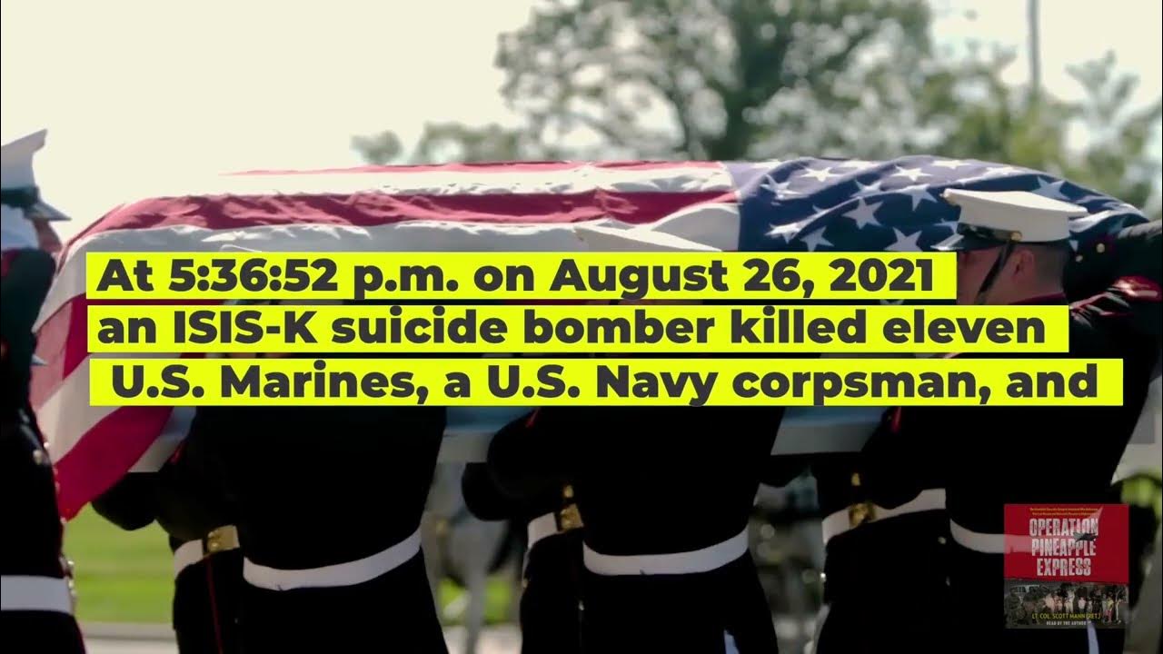 Operation Pineapple Express NYT Bestseller Chapter 1 The Beginning