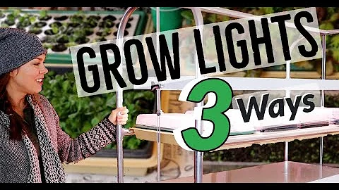 Grow Lights for Seed Starting Indoors- 3 Setups!