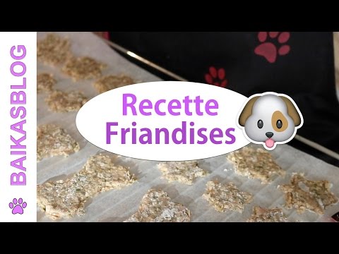 recette-pour-chien---biscuits-poulet-avoine-|-recette-facile-de-friandises-pour-chien