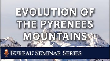 Spatio-temporal Evolution of Topography, Flexure, and Exhumation of the Pyrenees Mountains