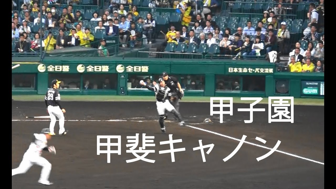 ｿﾌﾄﾊﾞﾝｸ 甲斐 拓也 甲斐キャノン In 甲子園 Vs 阪神 18年5月30日甲子園球場 Youtube