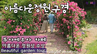 아름다운 정원상 받은 25년차 가드너의 추천 장미20종/오래피고 병충해없는 장미종류