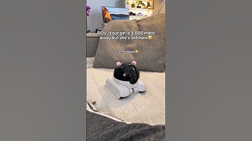 My girlfriend is a tiny little robot 😭💕 #robot #longdistance #couples #home