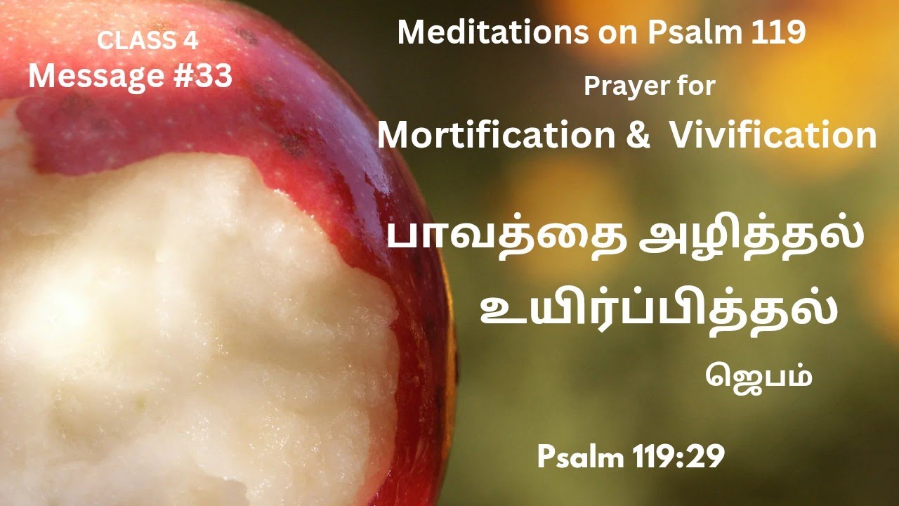 tamil-psalm-119-29-youtube