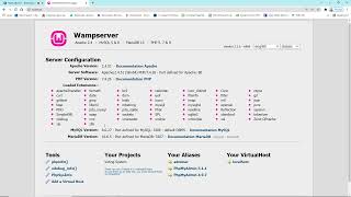 Creating your project in WAMP Server