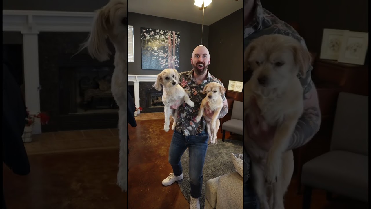 I made this loop for you.       