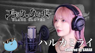 【ブラッククローバー】感覚ピエロ - ハルカミライ (SARAH cover) / Black Clover OP1 Haruka Mirai
