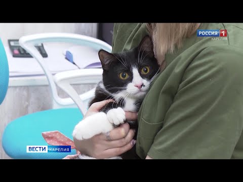 «Вести-Карелия» 28.12.2023