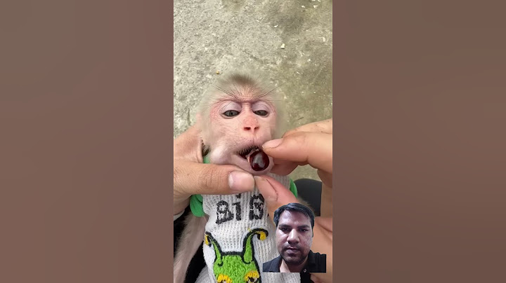 monkey ke mooh mai kya hai #funny #harekfriendkaminahotahai #comedyfilms #comedy #streetdriving