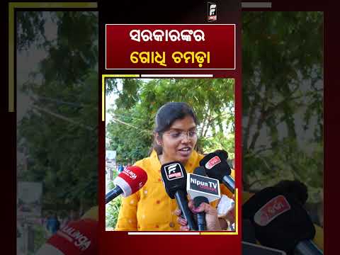 ସରକାରଙ୍କର ଗୋଧି ଚମଡ଼ା ll FOCUS PLUS ||