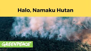 Halo, Namaku Hutan