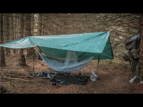 Harwood forest solo wild camp