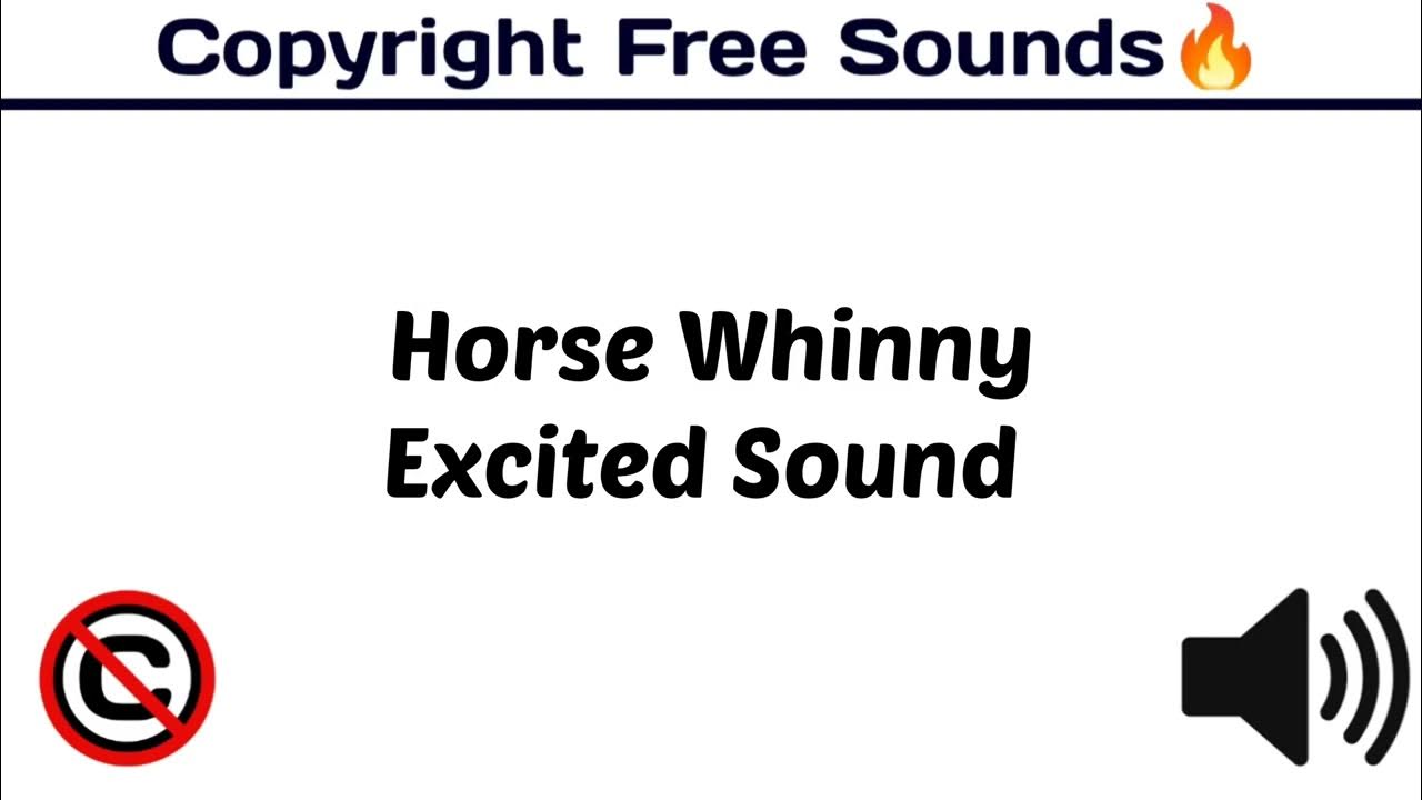 Horse Whinny Excited Sound / Popular Animal Sounds / copyrightfree