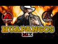 🔥-Huapangos Mix-🔥 La Boda Del Huitlacohe , Amor Ranchero, Ala Antiguita , La Loba Del Mal #DjAlfonzo