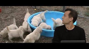 CS50 2015 - Week 3, continued