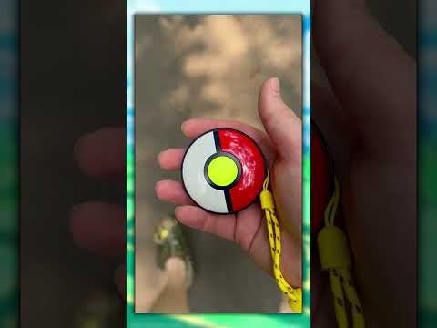 Is the Pokemon