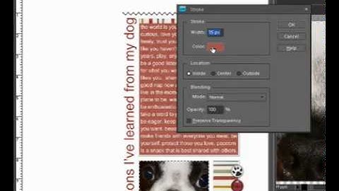 How to Mat a Photo in Photoshop or PSE