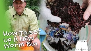How To Start Worm Composting [Simple & Cheap]