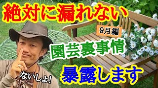 【裏情報を暴露します！】園芸店長が絶対にハズレのないお買い物の仕方を教えます！効率よくガーデニングをしたい方は必見です。園芸店のネタバレです。  japan garden