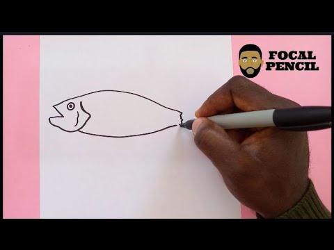 How To Draw A Black Sea Bass (fish) / step by step - YouTube