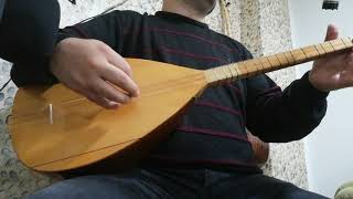 Yeşil ördek gibi daldım göllere sadece saz konuşuyor bağlama türkü Resimi