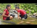 Adventure in forest: Found Oranges and Catch fish in river for food - Fish salt grill for dinner