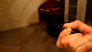 Extralite HyperRear Hub Freewheel Sound