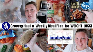 Weekly Grocery Haul and Meal Plan for WEIGHT LOSS! WEIGHT WATCHERS Grocery Haul | WW 2024