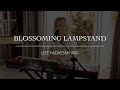 Blossoming Lampstand (Live) | Lize Hadassah Wiid