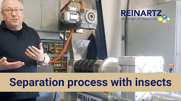 INSECT PROCESSING WITH REINARTZ