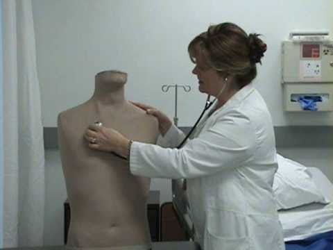 Physical Assessment Part 2.wmv