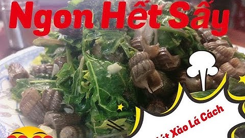 Bắt Ốc Hút Về Xào Lá Cách Nước Cốt Dừa. Ngon Hết Sẩy Cả Nhà Ơi